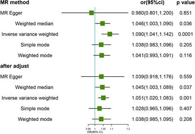 Frailty and hearing loss: From association to causation